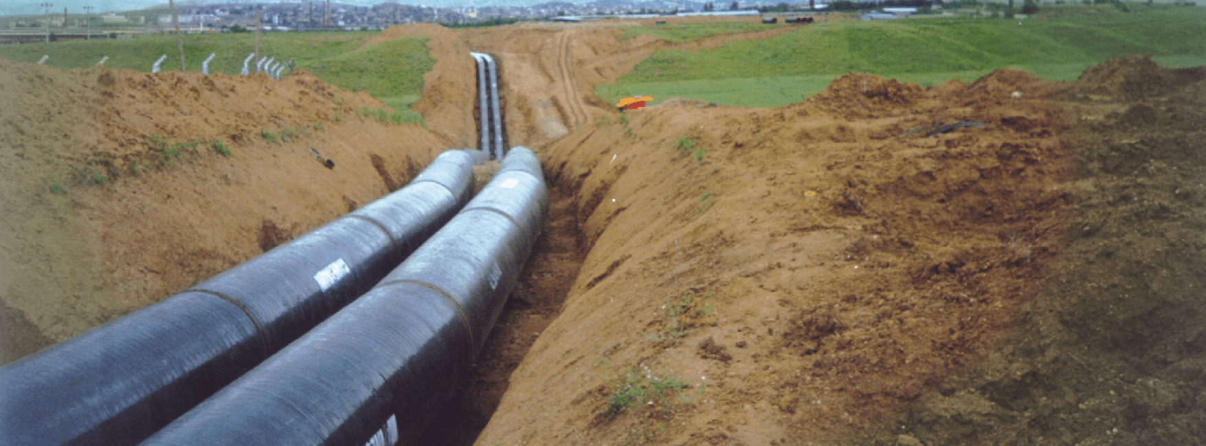 Erzincan Grape Water Line